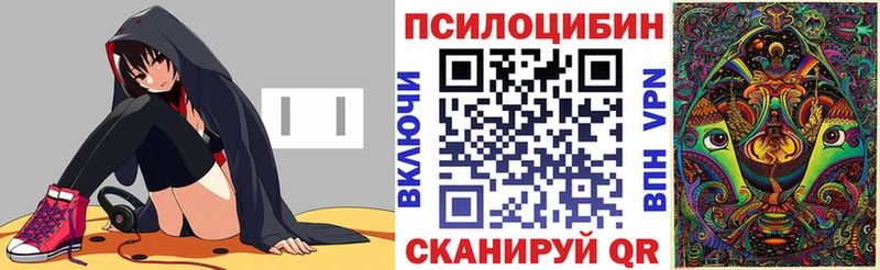 наркошоп Советский Псилоцибиновые грибы GOLDEN TEACHER